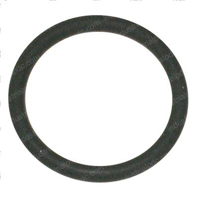 Picture of O-Ring