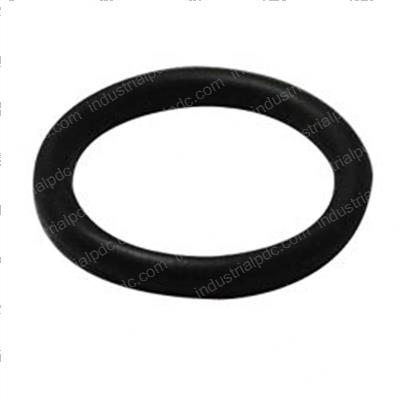 Picture of O-Ring
