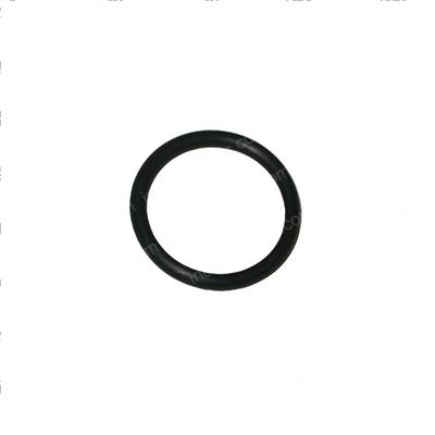 Picture of O-Ring