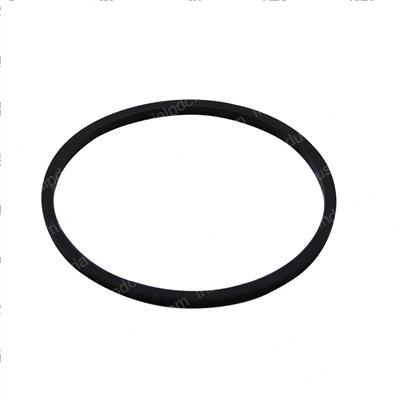 Picture of Gasket - O-Ring Fuel Filter