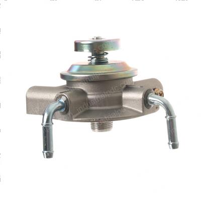 Picture of Body - Filter