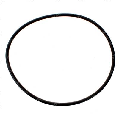 Picture of O-Ring