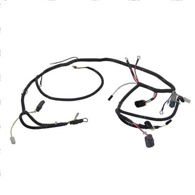 Picture of Main Harness