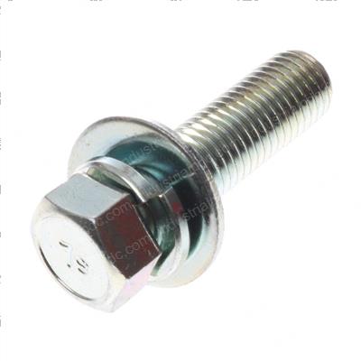 Picture of Bolt