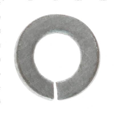 Picture of Washer - Spring