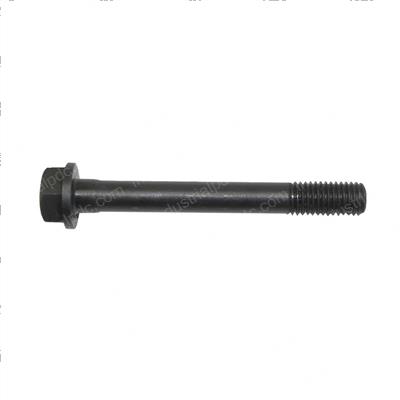Picture of Bolt