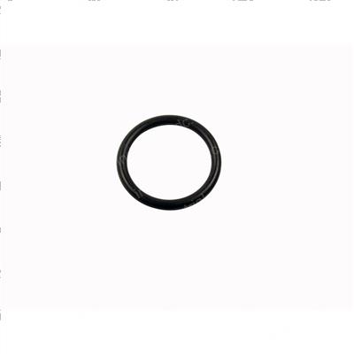 Picture of O-Ring