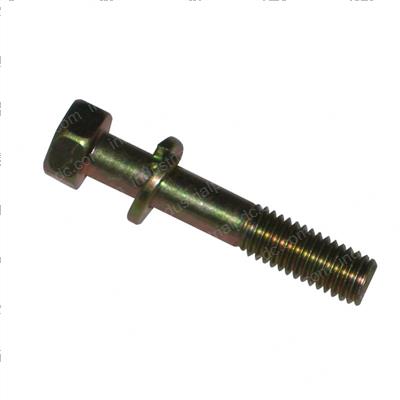 Picture of Bolt
