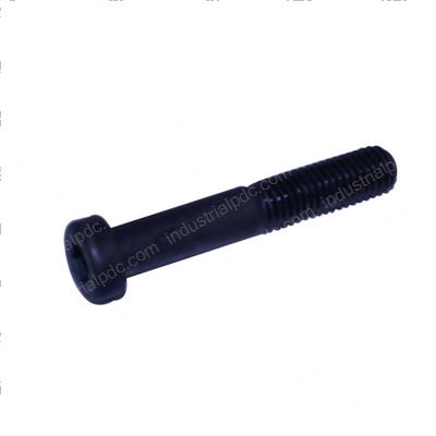 Picture of Bolt