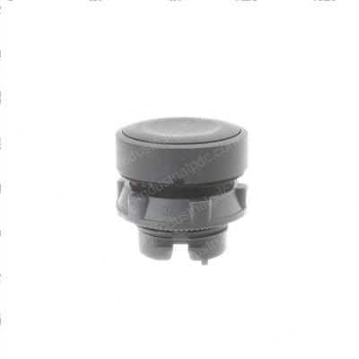 Picture of Switch - Flush Head Push Button