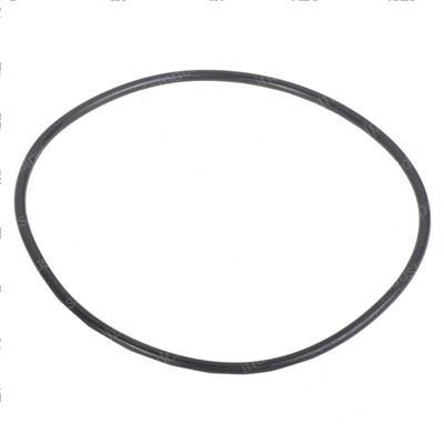 Picture of O-Ring
