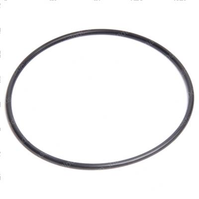 Picture of O-Ring