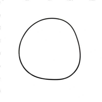 Picture of O-Ring