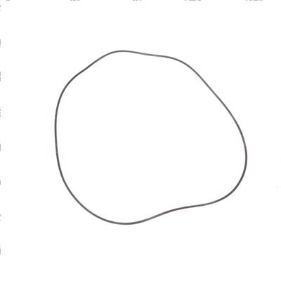 Picture of O-Ring