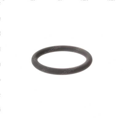 Picture of O-Ring