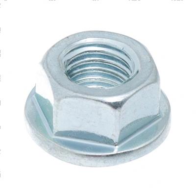 Picture of Nut