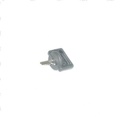 Picture of Key(molded)