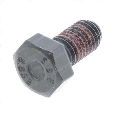 Picture of Bolt