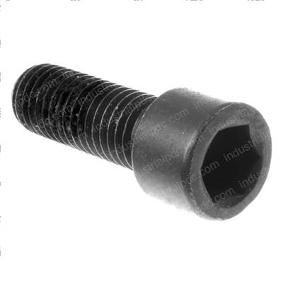 Picture of Bolt