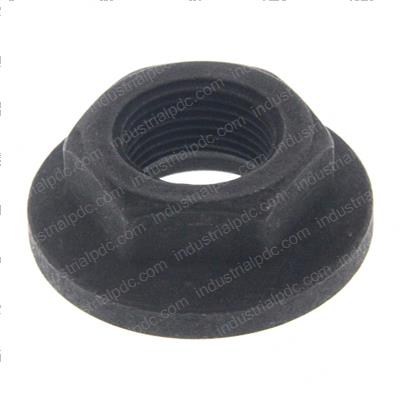 Picture of Nut