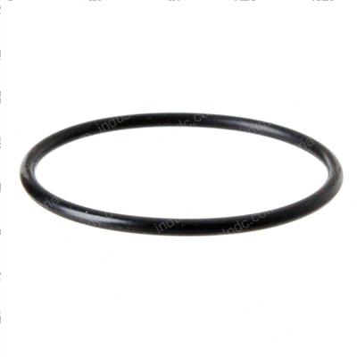 Picture of O-Ring