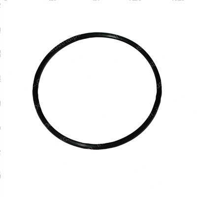 Picture of O-Ring