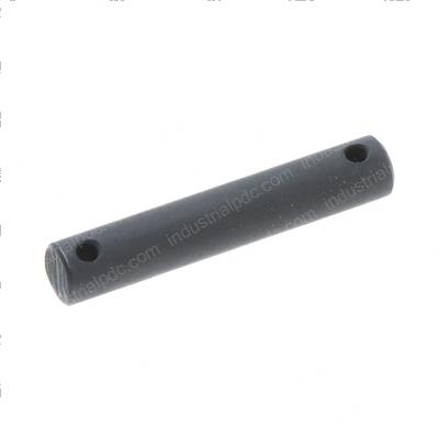 Picture of Pin Chain
