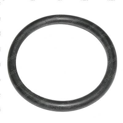Picture of O-Ring