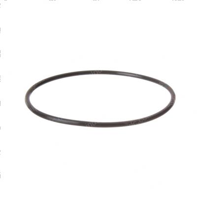 Picture of O-Ring