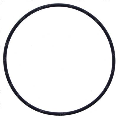 Picture of O-Ring