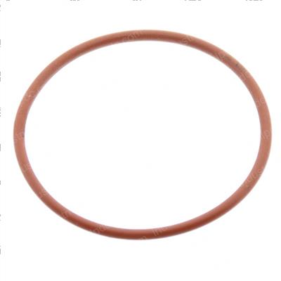 Picture of O-Ring