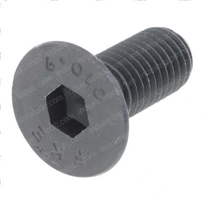 Picture of Screw Securing