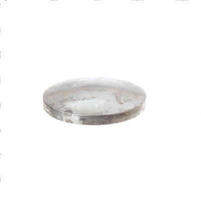 Picture of Plug - Expansion