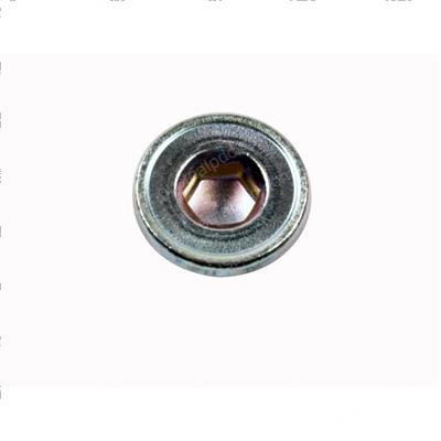 Picture of Plug - W/Head Taper