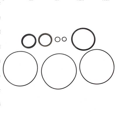 Picture of Seal Kit Steering Orbital