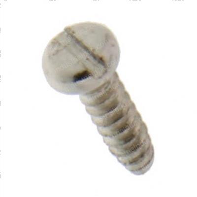Picture of Screw