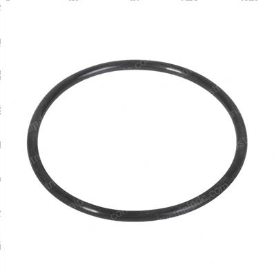Picture of O-Ring