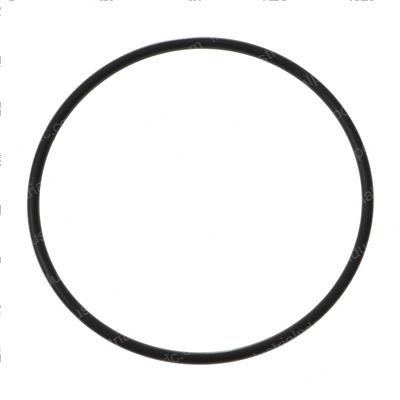 Picture of O-Ring