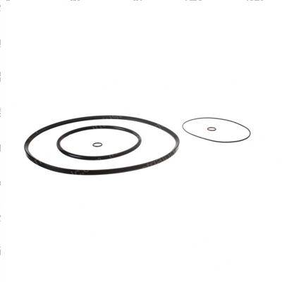 Picture of Seal Kit O-Ring