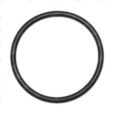 Picture of O-Ring