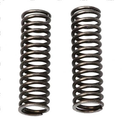 Picture of Standard Spring