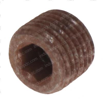 Picture of Plug Screw