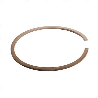 Picture of Ring Backup
