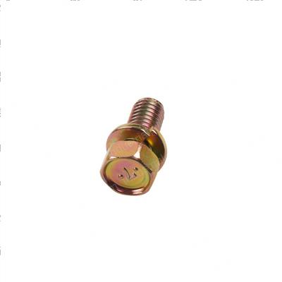 Picture of Bolt