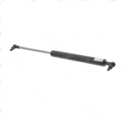 Picture of Spring - Gas Hood