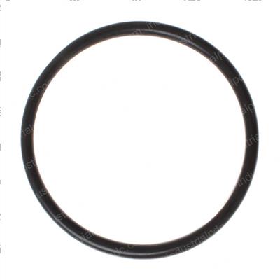 Picture of O-Ring