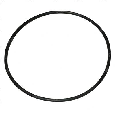 Picture of O-Ring