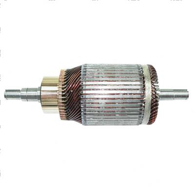 Picture of Armature - Motor