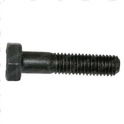Picture of Bolt