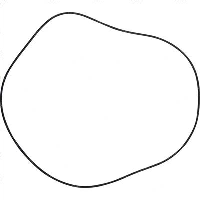 Picture of O-Ring